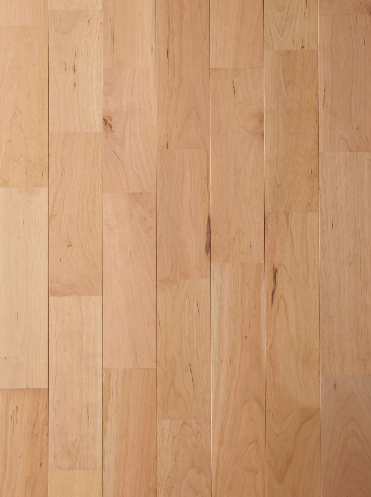 ブラックチェリーFJ ｜製品情報｜㈱オネスト・アンド・パートナーズ