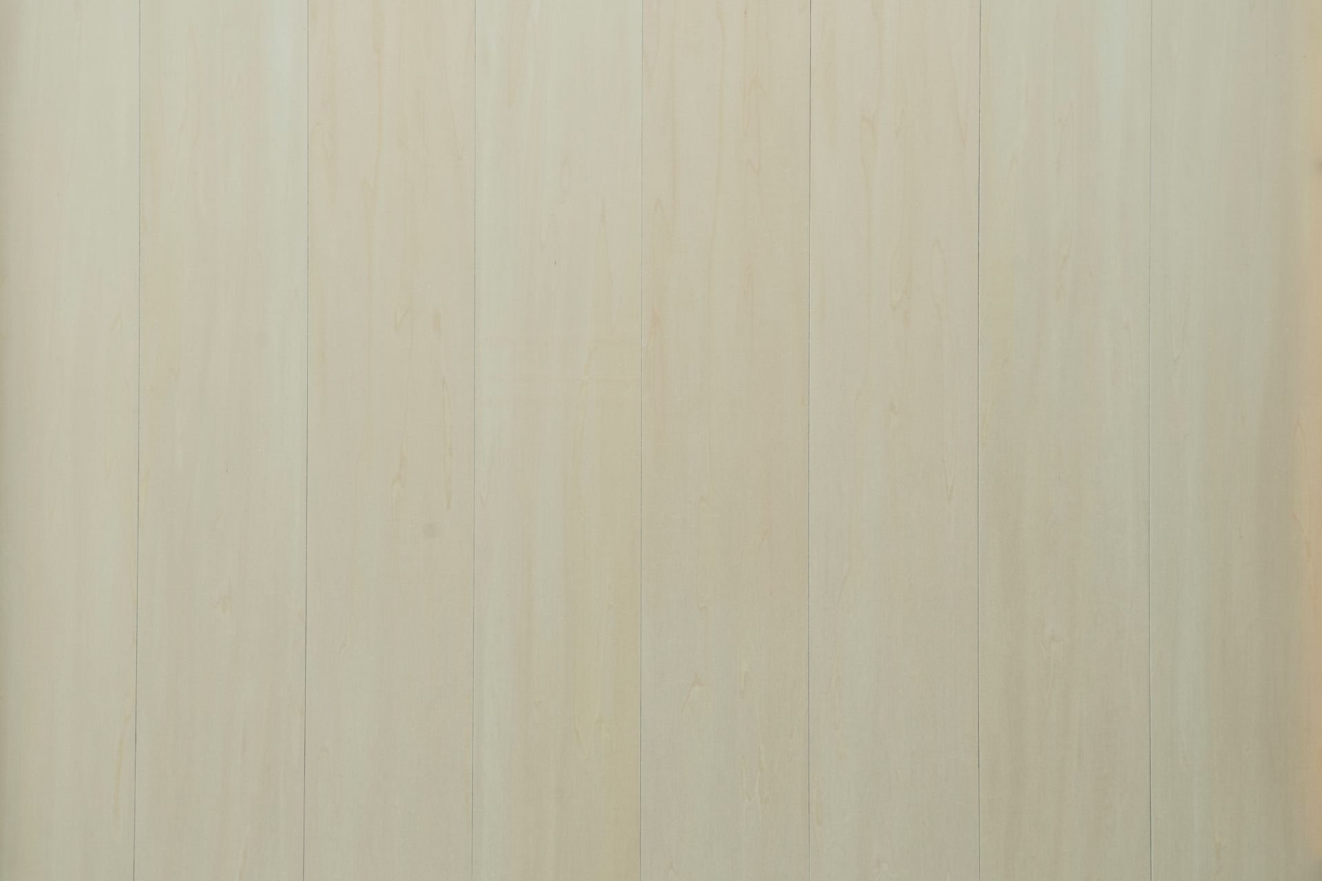 シナ