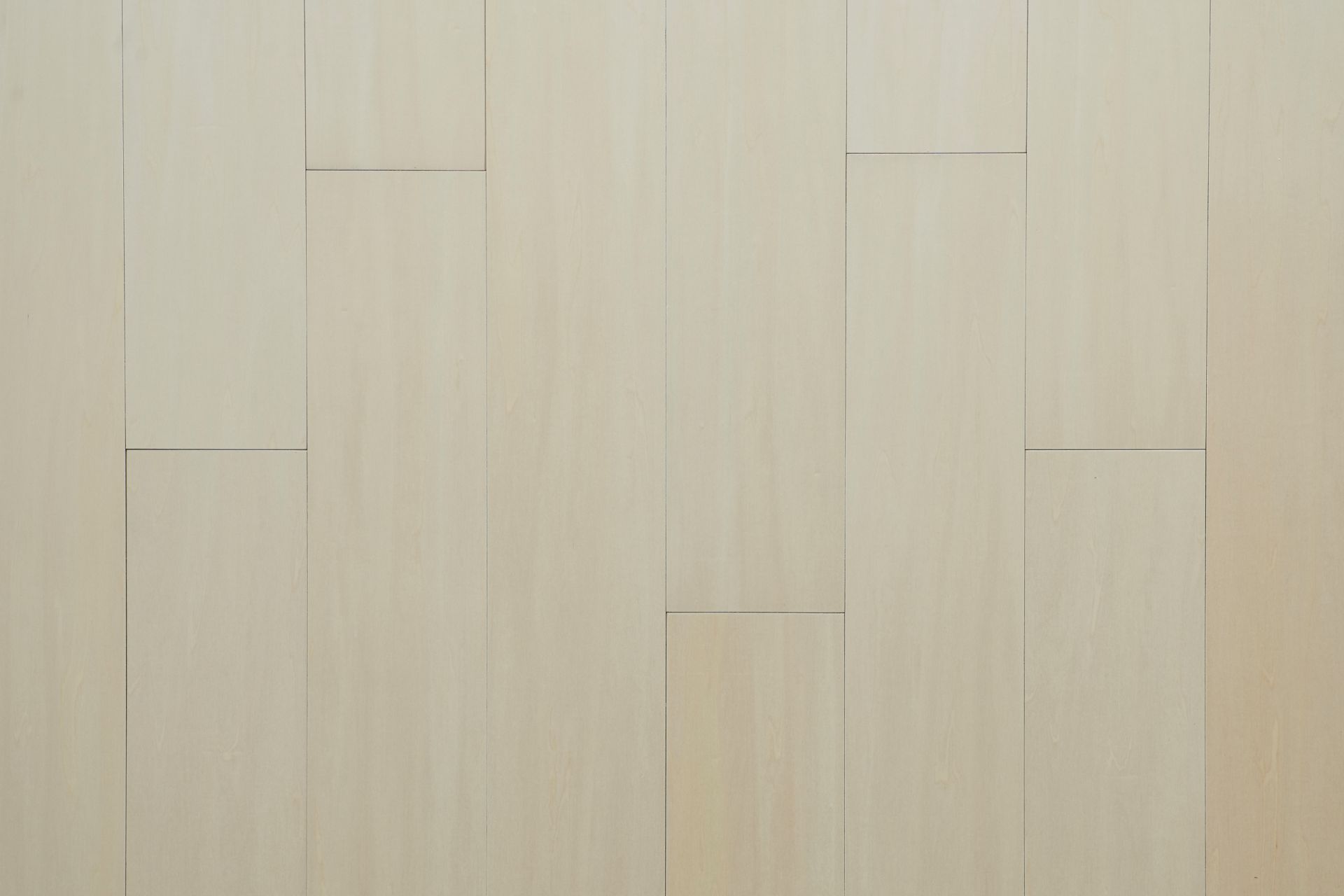 シナ